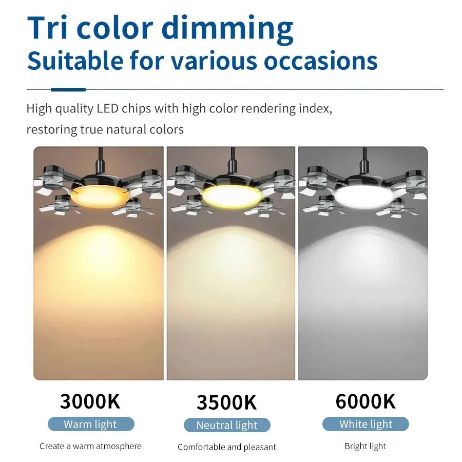 Socket Ceiling Fan Light